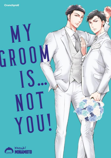 My Groom Is … Not You!
